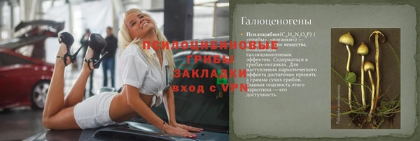 прущие грибы Алзамай