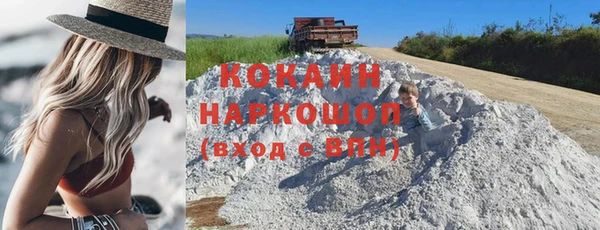 прущие грибы Алзамай