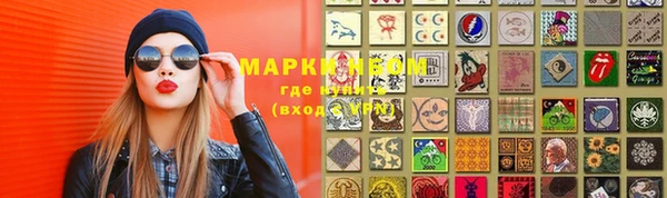 прущие грибы Алзамай